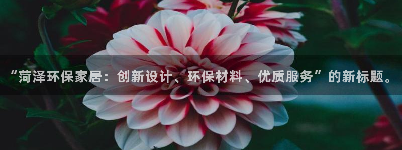沐鸣2怎么注册：“菏泽环保家居：创新设计、环保材料、优质服务
