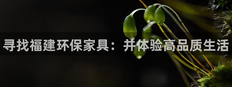 沐鸣2代理官网：寻找福建环保家具：并体验高品质生活
