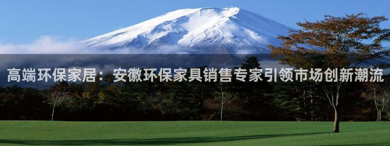 沐鸣2平台线路测速登录：高端环保家居：安徽环保家具销售专家引
