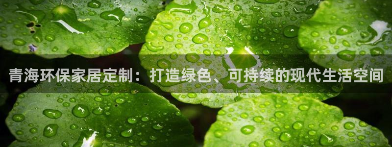 沐鸣2平台登录网站：青海环保家居定制：打造绿色、可持续的现代