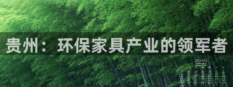 沐鸣2平台线路：贵州：环保家具产业的领军者